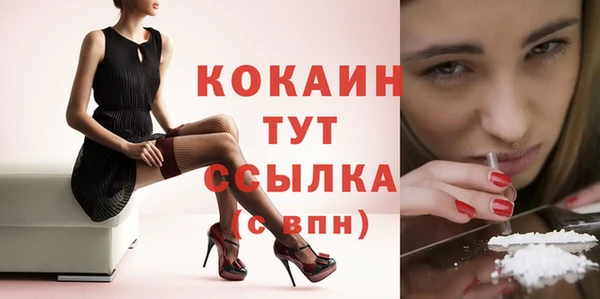 МДПВ Богданович