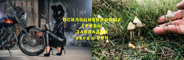 МДПВ Богданович